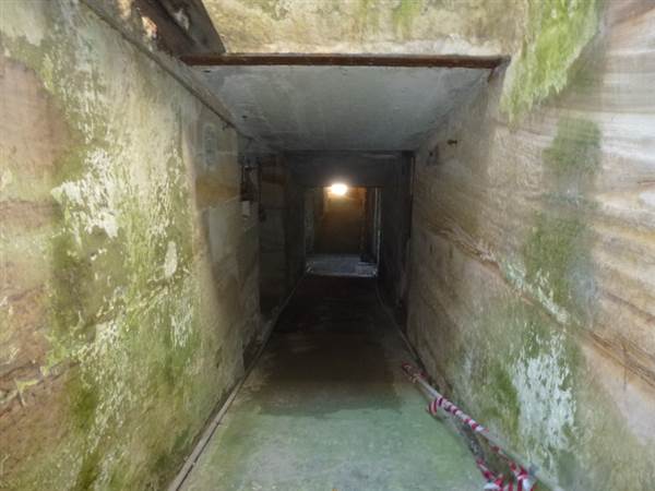 Middle Head Fortifications (13/03/2015)