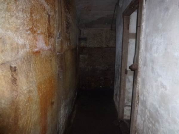 Middle Head Fortifications (13/03/2015)