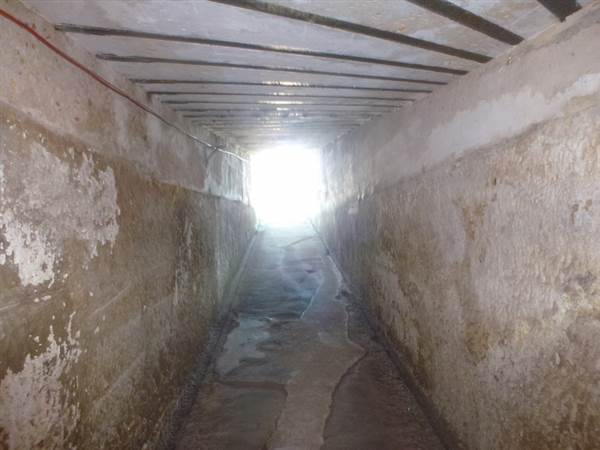 Middle Head Fortifications (13/03/2015)