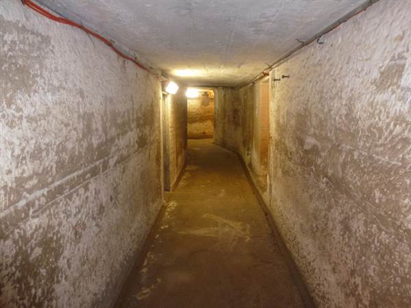 Middle Head Fortifications (13/03/2015)