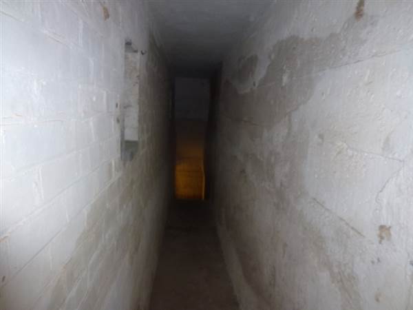 Middle Head Fortifications (13/03/2015)