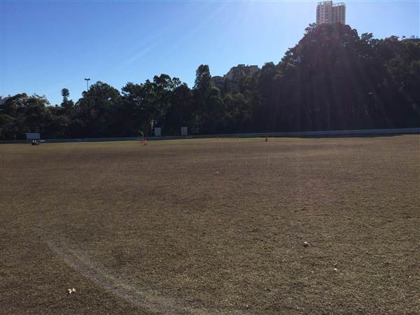Trumper Oval (7/06/2014 - Credits: Shannon Wheeler)