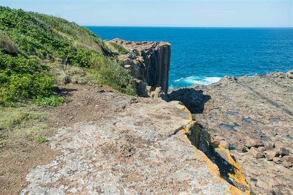 Bombo Headland Quarry (30/04/2015 - Credits: Colin McDougall)