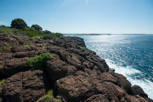 Bombo Headland Quarry (30/04/2015 - Credits: Colin McDougall)