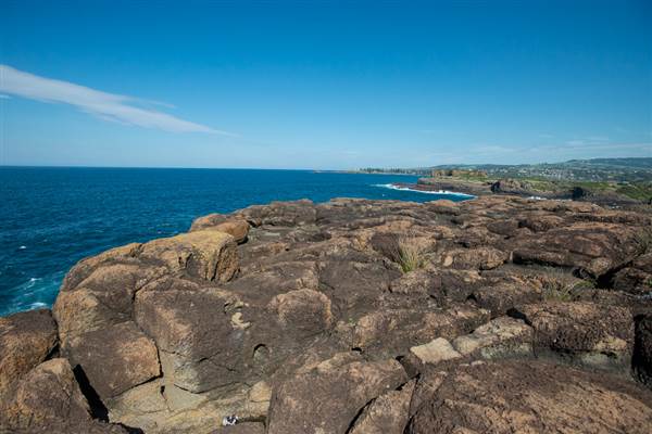 Bombo Headland Quarry (30/04/2015 - Credits: Colin McDougall)