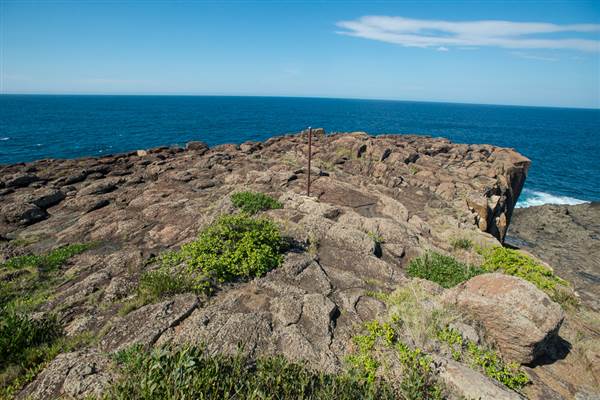 Bombo Headland Quarry (30/04/2015 - Credits: Colin McDougall)