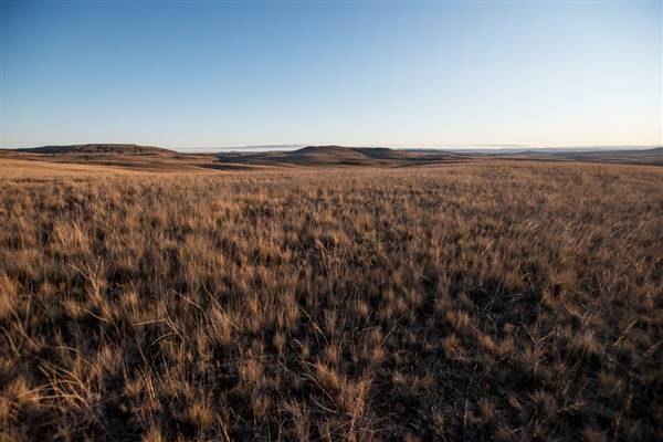 Monaro Plains (20/06/2015 - Credits: Colin McDougall)