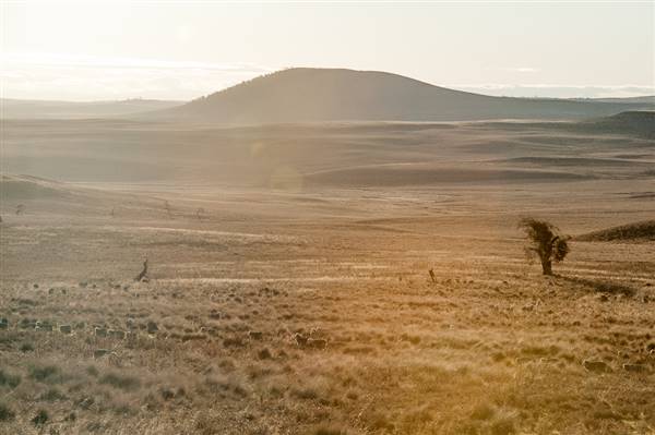 Monaro Plains (20/06/2015 - Credits: Colin McDougall)