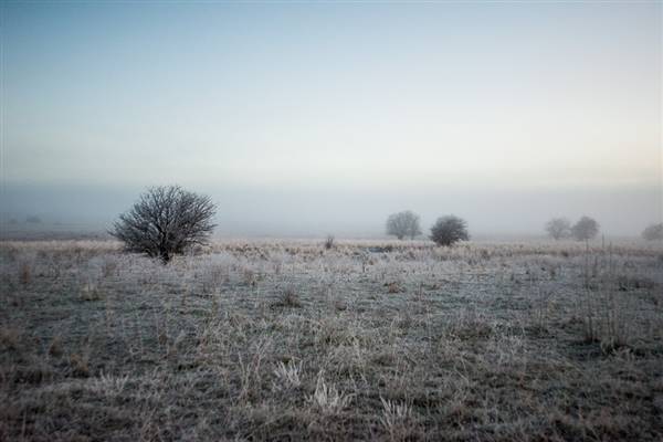 Monaro - Winter Frost (20/06/2015 - Credits: Colin McDougall)