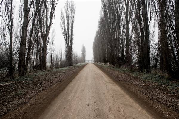 Monaro - Winter Frost (20/06/2015 - Credits: Colin McDougall)