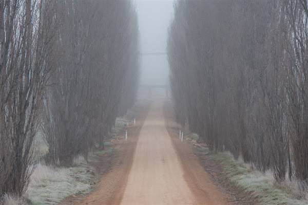 Monaro - Winter Frost (20/06/2015 - Credits: Colin McDougall)