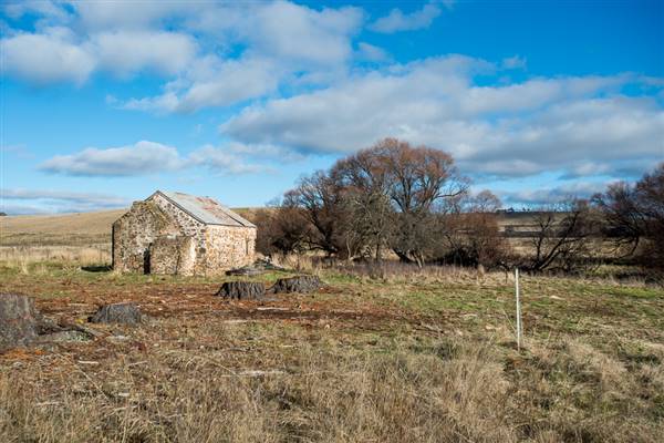 Nimmitabel Cottage (24/07/2015)