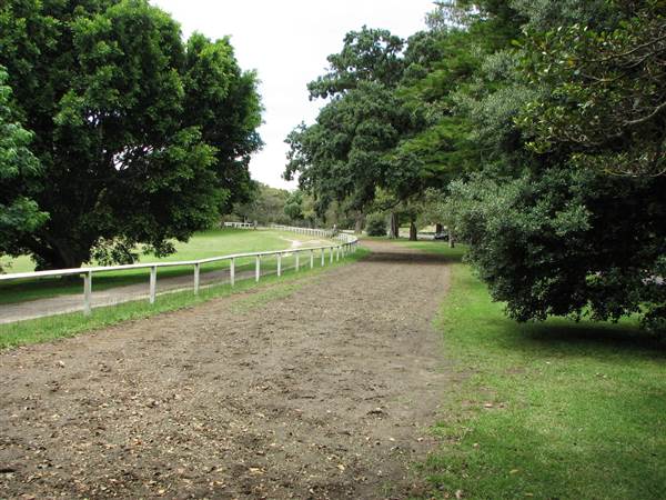 Centennial Park (24/02/2015 - Credits: Phillip Roope)