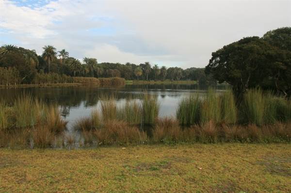 Centennial Park (28/11/2013)