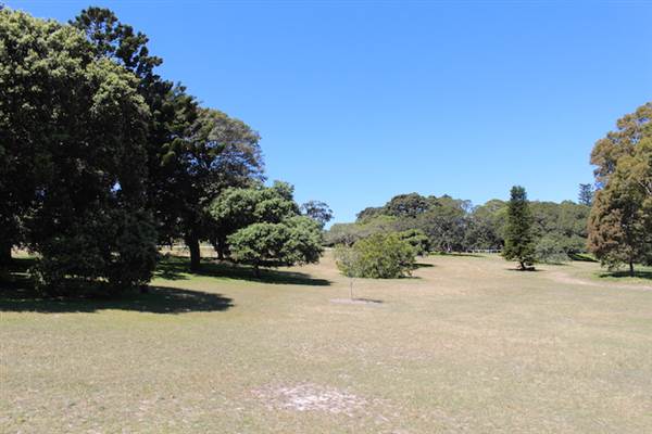 Centennial Park - Loch Ave South (24/10/2014)