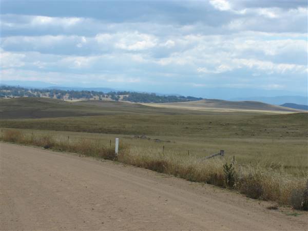 Monaro Plains - Summer (1/02/2005 - Credits: Colin McDougall)