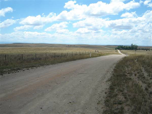 Monaro Plains - Summer (1/02/2005 - Credits: Colin McDougall)