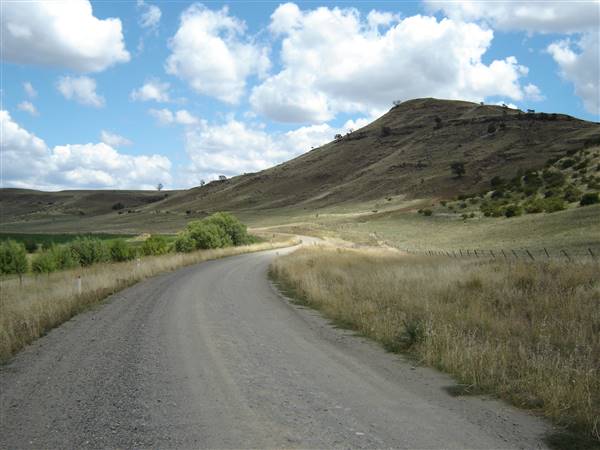 Monaro Plains - Summer (1/02/2005 - Credits: Colin McDougall)