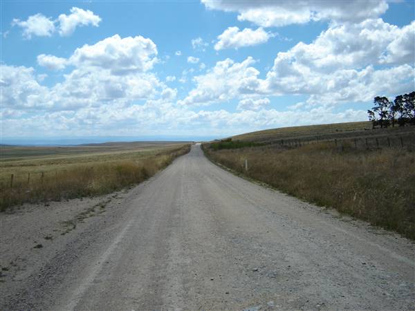 Monaro Plains - Summer (1/02/2005 - Credits: Colin McDougall)
