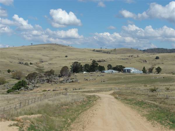Monaro Plains (1/02/2005 - Credits: Colin McDougall)
