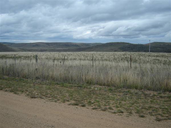 Monaro Plains (1/02/2005 - Credits: Colin McDougall)