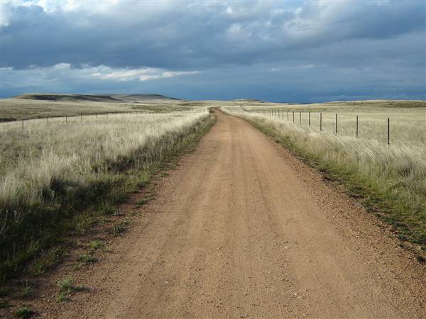 Monaro Plains (1/02/2005 - Credits: Colin McDougall)