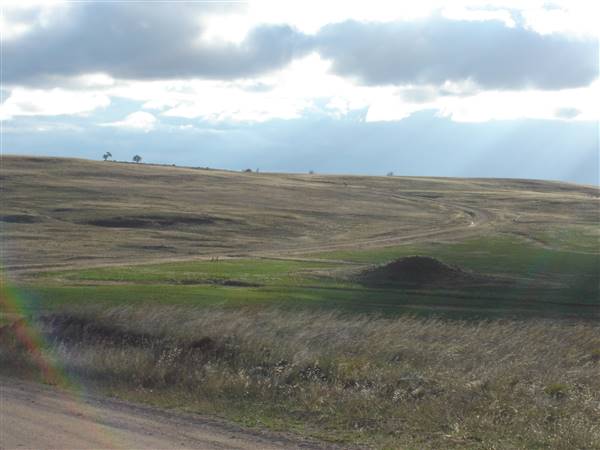 Monaro Plains (1/02/2005 - Credits: Colin McDougall)