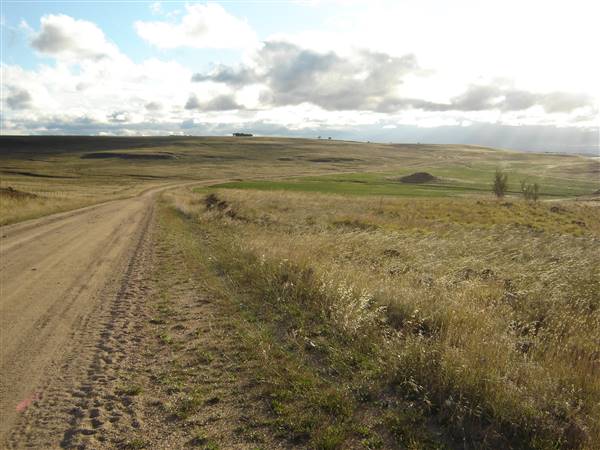 Monaro Plains (1/02/2005 - Credits: Colin McDougall)