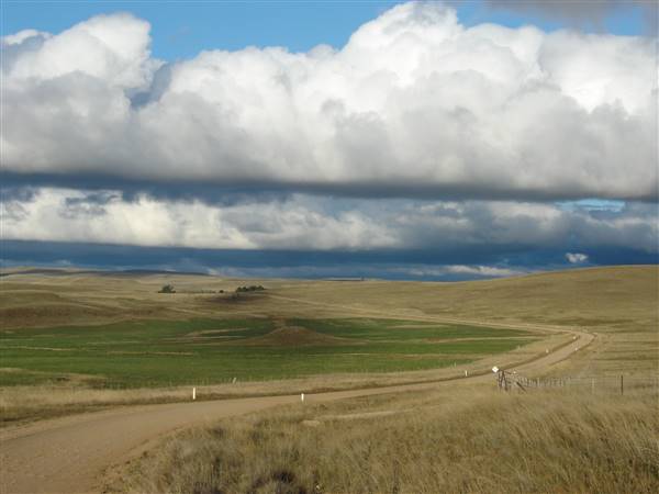 Monaro Plains (1/02/2014 - Credits: Colin McDougall)