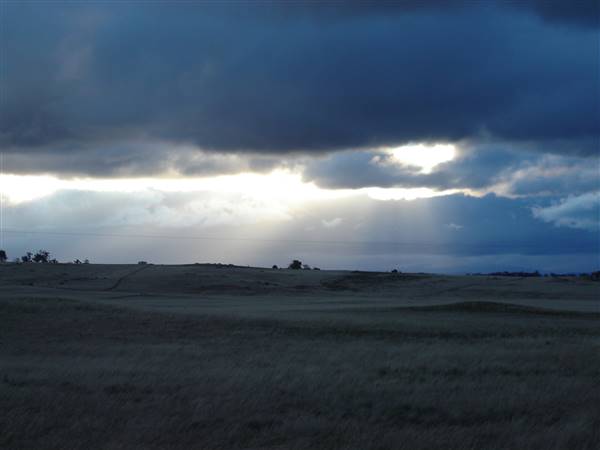 Monaro Plains (1/02/2014 - Credits: Colin McDougall)