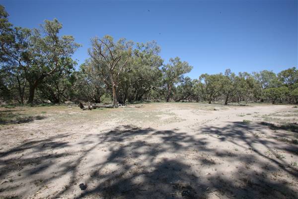 Bindara Station on the Darling - Period Homestead & Outbuildings (20/11/2015)