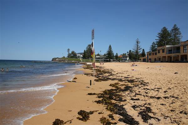 Collaroy Beach (20/11/2015)