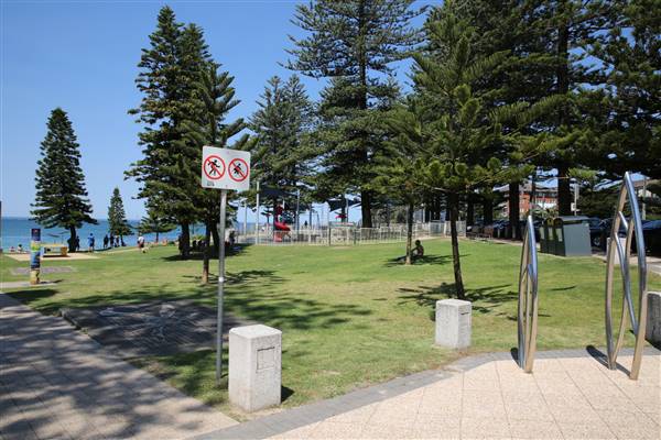 Dee Why Beach and Surrounds (20/11/2015 - Credits: Lisa Scope)