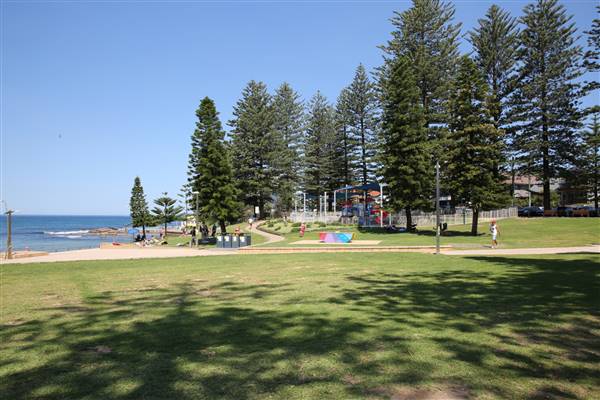 Dee Why Beach and Surrounds (20/11/2015 - Credits: Lisa Scope)