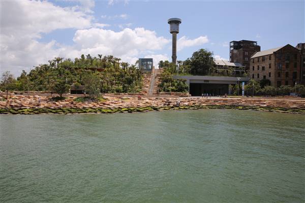Barangaroo Reserve (25/11/2015)