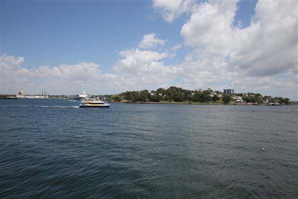 Barangaroo Reserve (25/11/2015)
