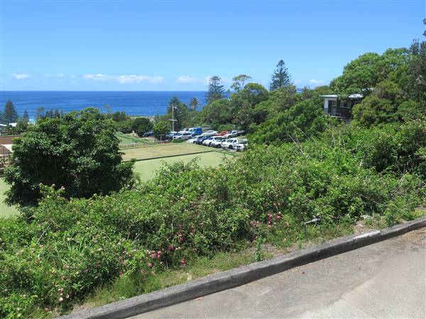 Wombarra neighbourhood (7/12/2015 - Credits: Peter Hicks)