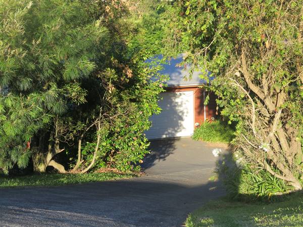 Kiama neighbourhood (8/12/2015)