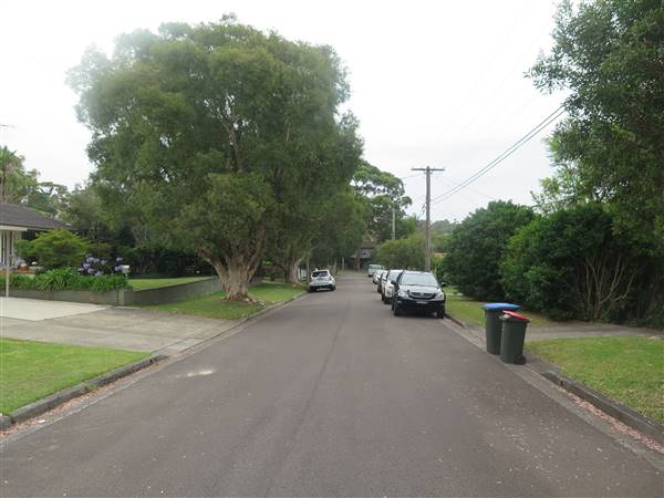 Allambie Heights neighbourhood (9/12/2015 - Credits: Peter Hicks)