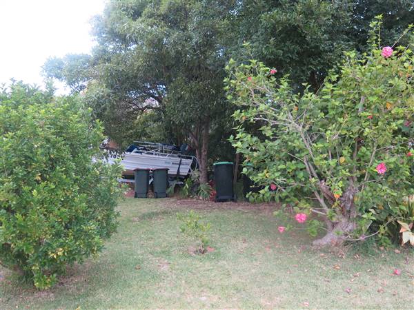 Manly Vale Neighbourhood (8/12/2015 - Credits: Peter Hicks)