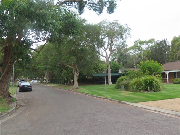 Mona Vale Neighborhood (8/12/2015 - Credits: Peter Hicks)