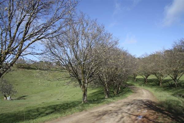 Private House - Crookwell (5/02/2016)