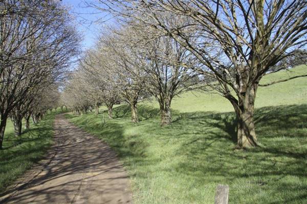Private House - Crookwell (5/02/2016)