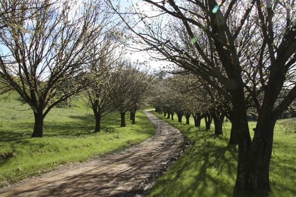 Private House - Crookwell (5/02/2016)
