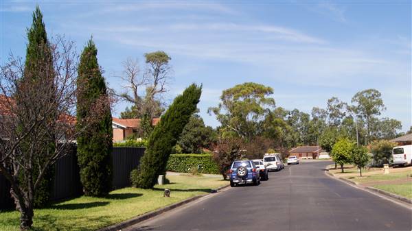 Quakers Hill Houses (9/03/2016 - Credits: Shannon Wheeler)