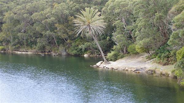 Wattamolla Beach (1/07/2016 - Credits: Mary Barltrop)