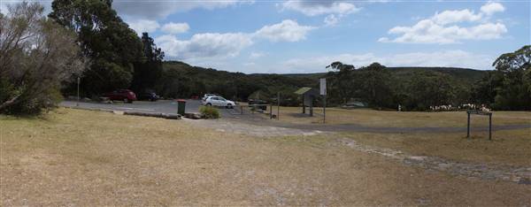 Wattamolla Beach (1/07/2016 - Credits: Mary Barltrop)