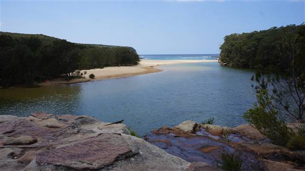 Wattamolla Beach (1/07/2016 - Credits: Mary Barltrop)