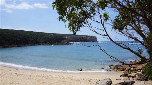 Wattamolla Beach (1/07/2016 - Credits: Mary Barltrop)
