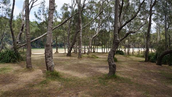Wattamolla Beach (1/07/2016 - Credits: Mary Barltrop)